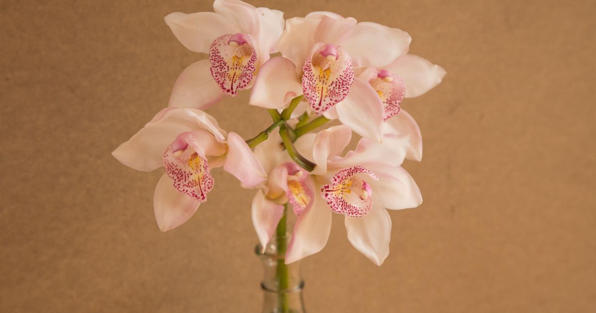Detailní záběr na jemné aranžmá z hedvábných orchidejí